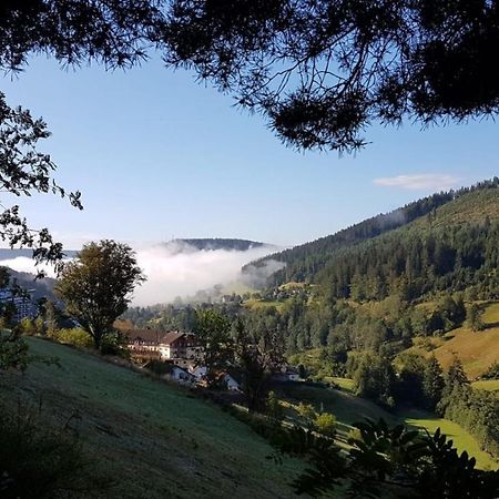 Ferienwohnung Tonbachtal Baiersbronn Extérieur photo