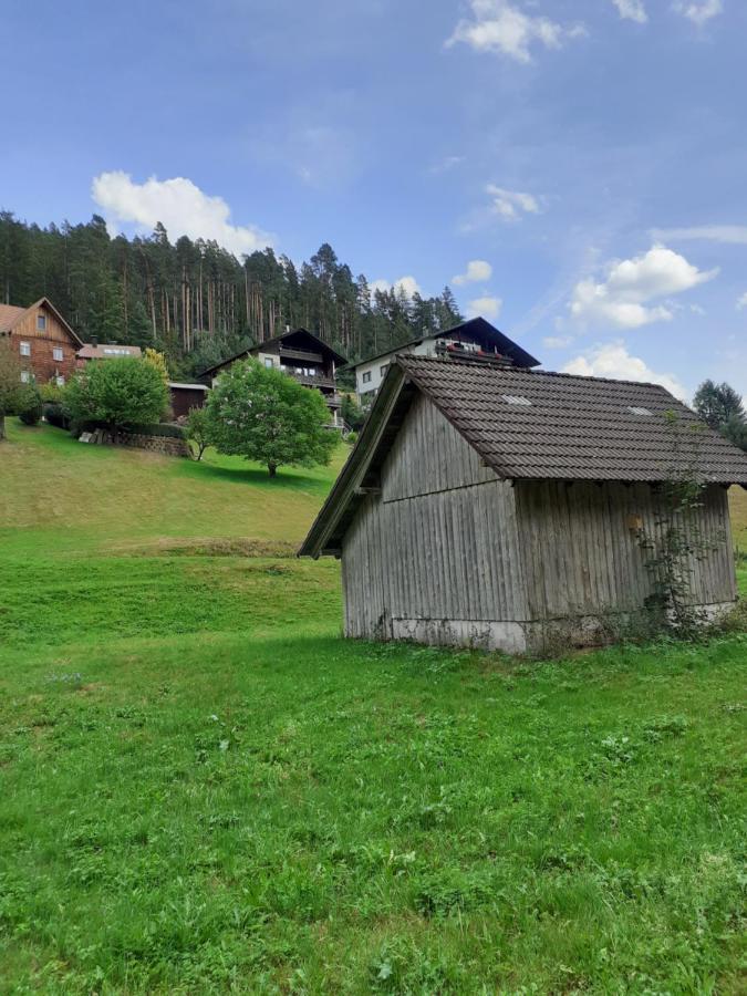 Ferienwohnung Tonbachtal Baiersbronn Extérieur photo